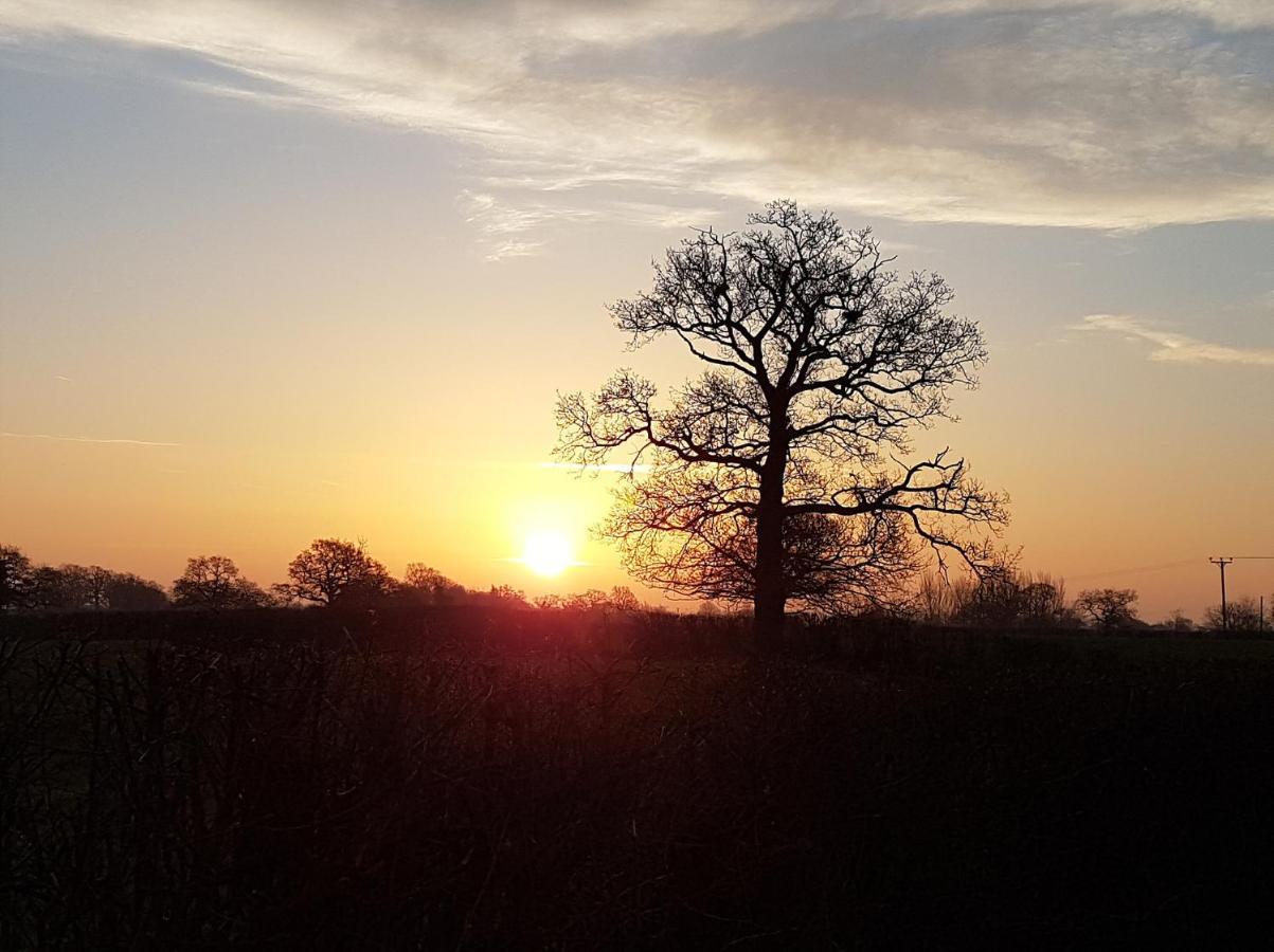 Foxes Field B&B Aston Nantwich Wrenbury Bagian luar foto